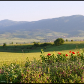 някъде в България...