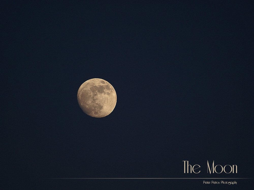 The Moon