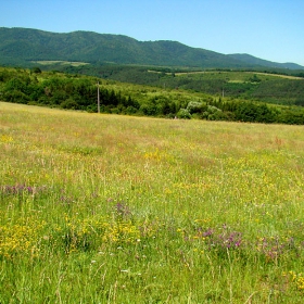 Люлински поляни