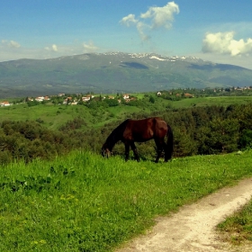 Плана гледа Витоша