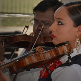 Violinista