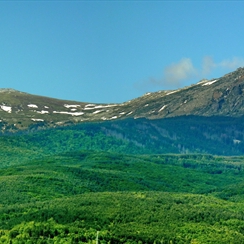 Преди пожара