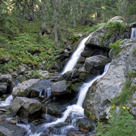 Водопад в гората