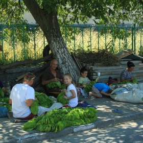 Поминъка в Родопите