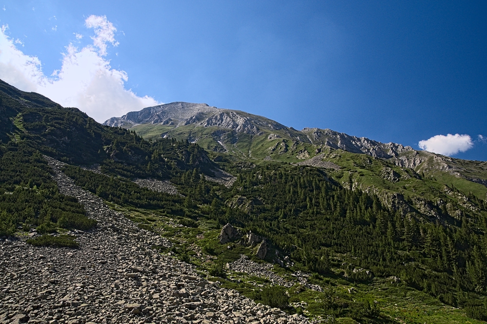 Поглед към вр. Вихрен