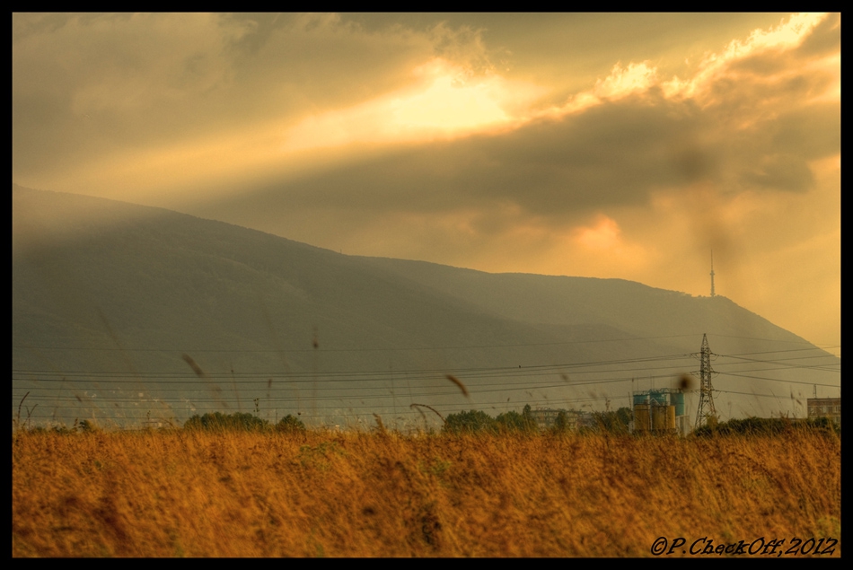 After the rain .....