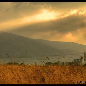 After the rain .....