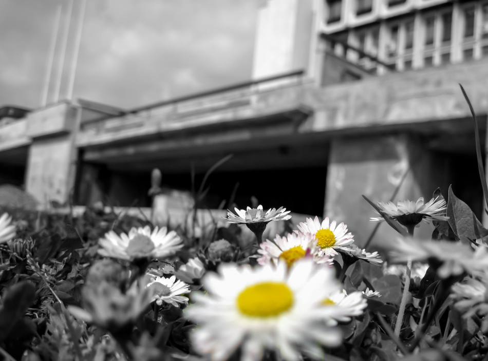 bw+