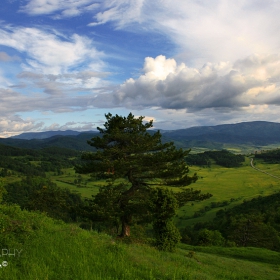 гледки (1)