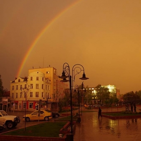 Севлиево седобед