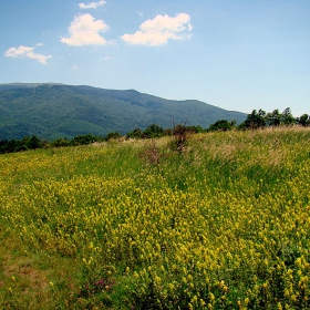 Поляни, гори, баири