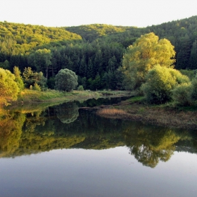 Импресия