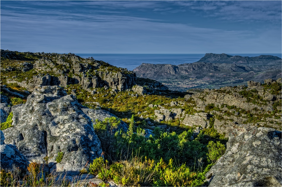 Table Mountain - по билото