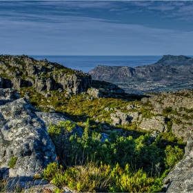 Table Mountain - по билото