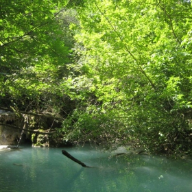 Krushuna waterfalls / Крушунски водопади