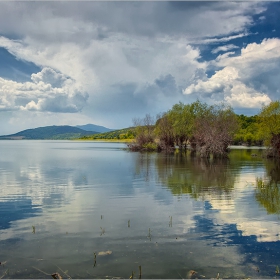 Жребчевско