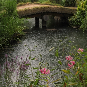 Japanese Garden