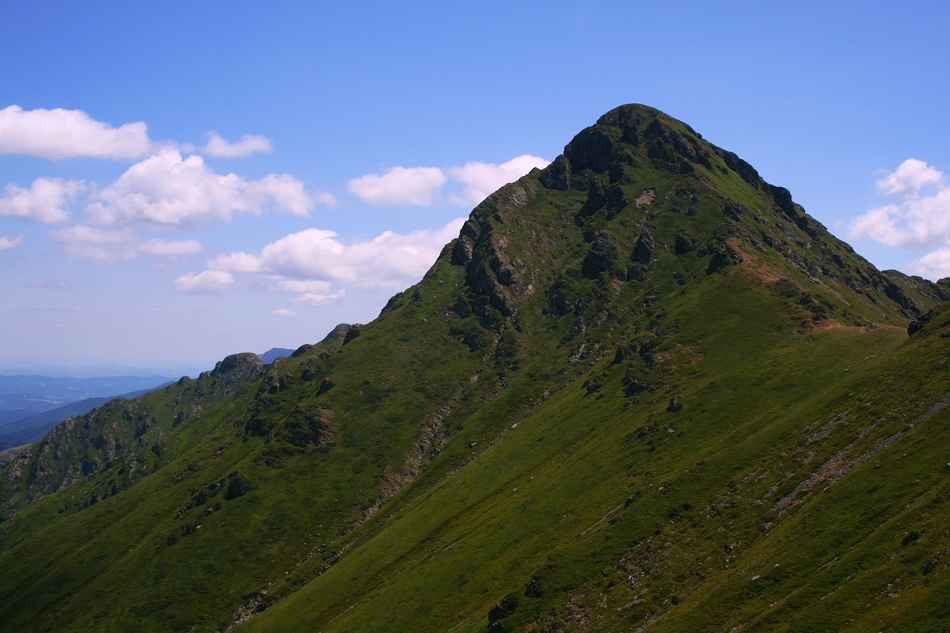 Купена