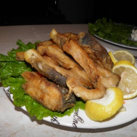 ribka