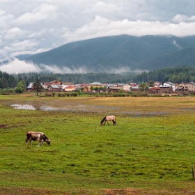 Животът на село