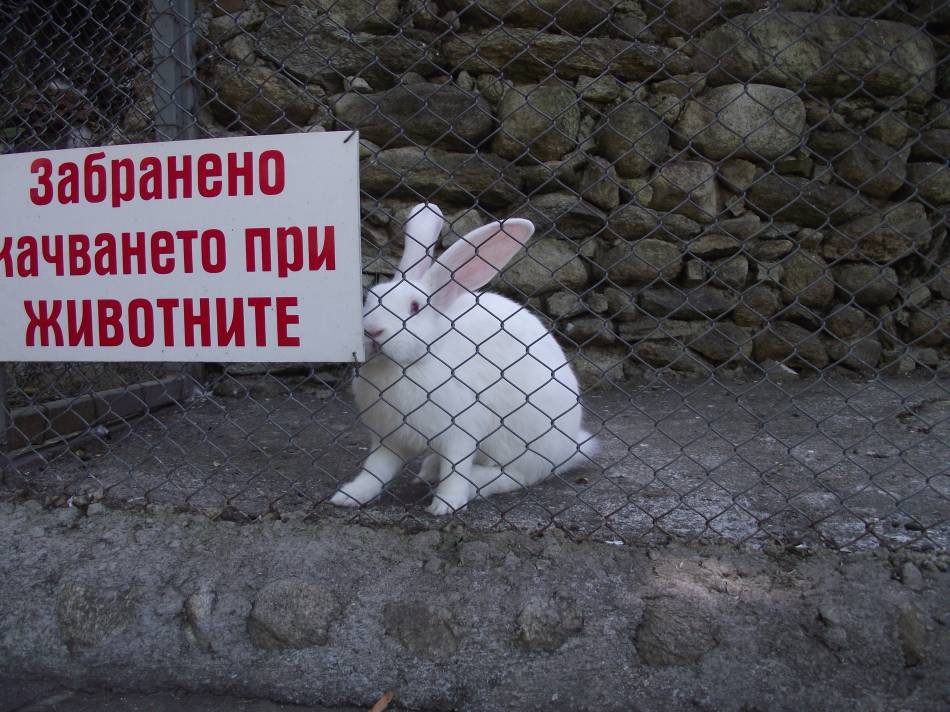Снимка без име