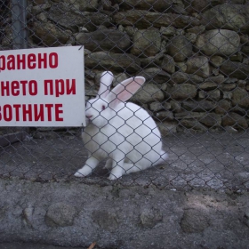 Снимка без име