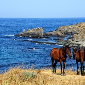 Коне,море,скали