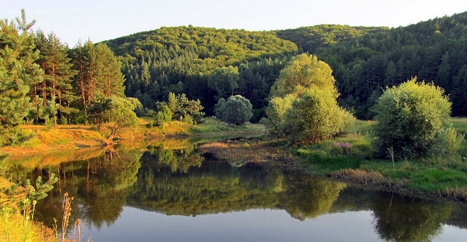 Импресия 3