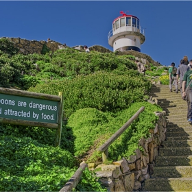 Пътят към фара на Cape Point съвсем не е безопасен