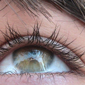 The eye.