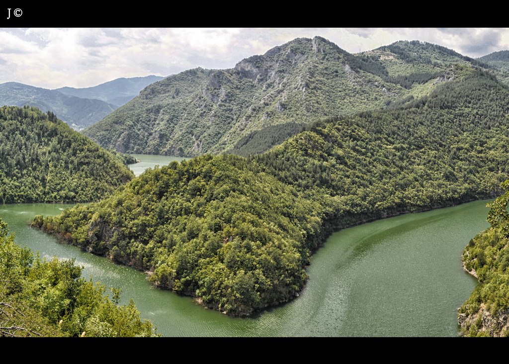 джунгла