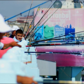 Let's go fishing at Bosphorus