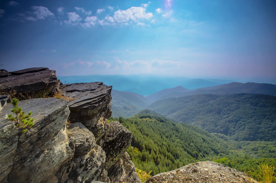 Панорама1