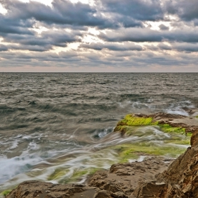 Морска ласка