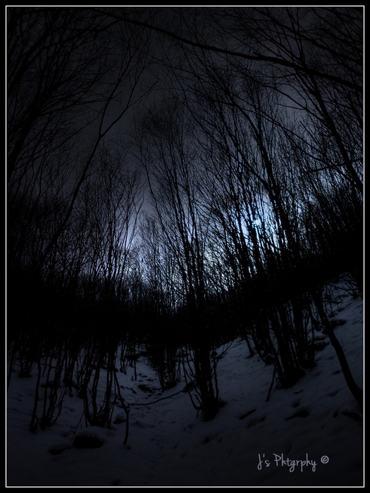 night