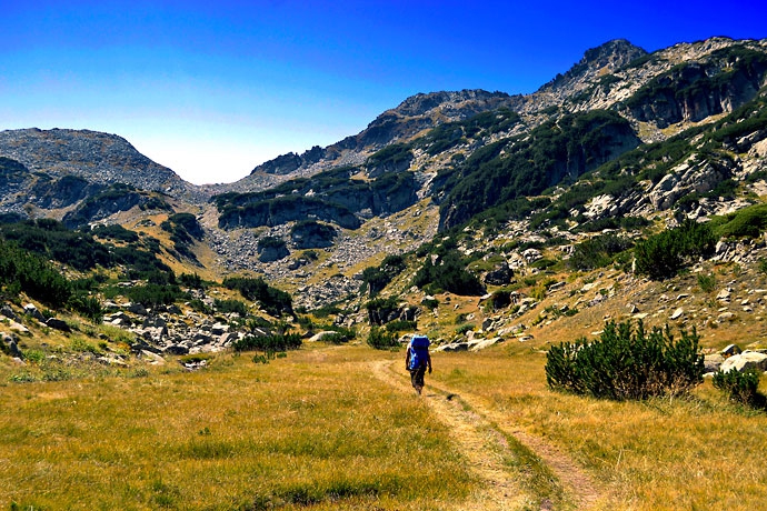 into the wild