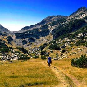 into the wild