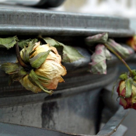 Love in a trash can