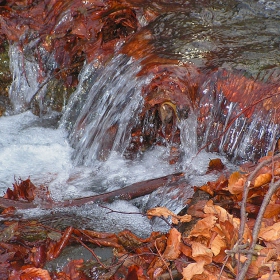 Водоскок