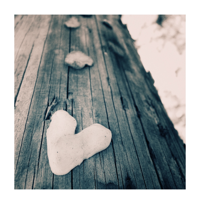  ...love gum..