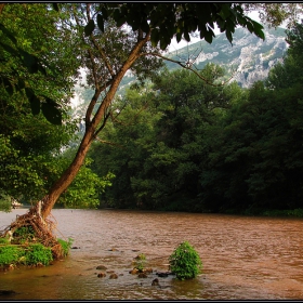 По реката