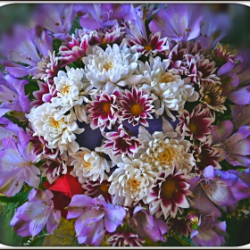 Улица на цветята - 16