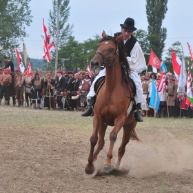 Kurultaj