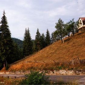 пейзаж