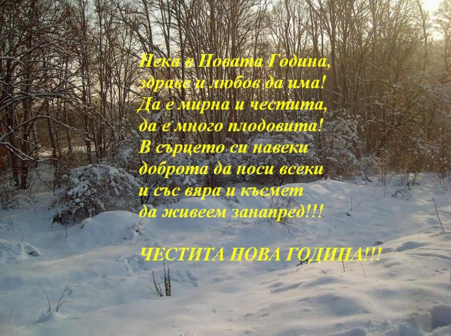 Честита Нова 2013 година!