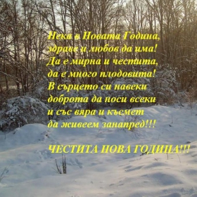 Честита Нова 2013 година!