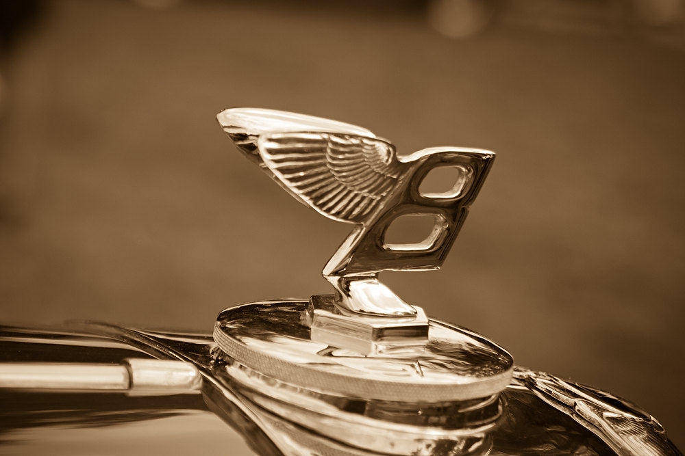 B Gives You Wings
