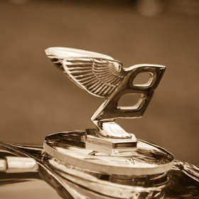 B Gives You Wings