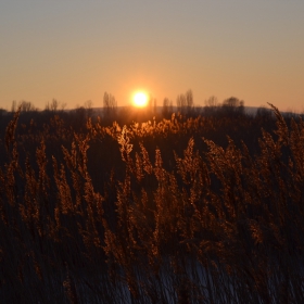 Залезът 1.1.2013