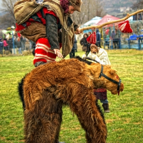 Баланс